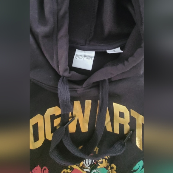 Gold Foil Harry Potter Hogwarts Hoodie - Picture 7 of 10